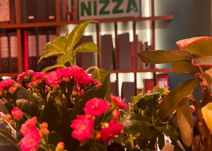 Nizza 3* Florença